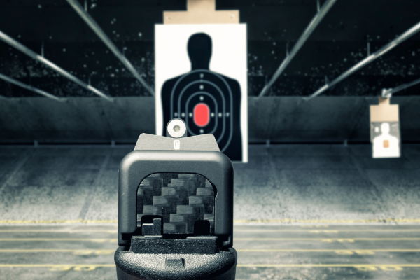 express sight picture