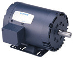 Leeson 111309.00