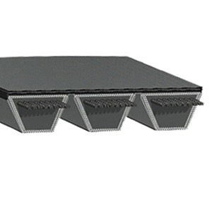 Dodge 107594 2/C90 POLYBAND CLASSIC BELT