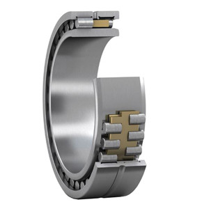SKF NNU 4964 BK/SPW33 Radial Cylindrical Roller Bearing