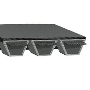 Dodge 481454 RBX60-6 BELT