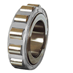 SKF RN 2338 ECJB/L7BC02DR Cylindrical Roller Bearings (Excl. Large Size) (C)