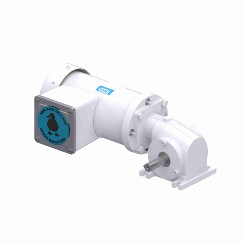 Leeson 0.16 HP AC Gearmotor, 1 phase, 340 RPM, 110 V, 38 Frame, TEFC - M1145143.00