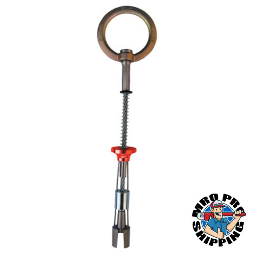 Protecta PRO Concrete Wedge Anchor, 3/4 in, D-Ring (1 EA)
