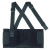 ProFlex 1650 Economy Elastic Back Support, Medium, Black (1 EA)