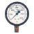 Dixon Valve Brass Liquid Filled Gauges, 0 to 300 psi, 1/4 in NPT(M), Center Back Mount (1 EA / EA)
