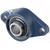 SKF FYTB 25 TF Flanged Bearing Unit