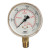 Western Enterprises 2 in Regulator Gauge, G-2-30W, 30 PSIG, 1/4 in (NPT) (1 EA / EA)