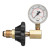 Western Enterprises Cylinder Pressure Testing Gauges, Air, Brass, CGA-346 (1 EA / EA)