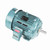 Leeson 811561.00