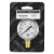 Gentec 2 in Pressure Gauge, 200 psi (tensile), Brass, 1/4 in NPT(M) (1 EA / EA)