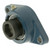 SKF FYT 1.3/4 WF/W64 DIST POLY-OIL BRGS
