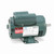 Leeson 0.50 HP General Purpose Motor, 1 phase, 1800 RPM, 115/230 V, 56 Frame, ODP - E100007.00