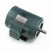 Leeson 170171.60