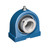 SKF P2BT 110-WF Mounted Ball: US Standard (IM)