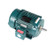 Leeson 811551.00