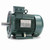 Leeson 193342.60 Leeson 193342.60