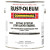 Rust-Oleum Alkyd Enamel Black Rust-Preventative Maintenance Paint (2 GA / CA)