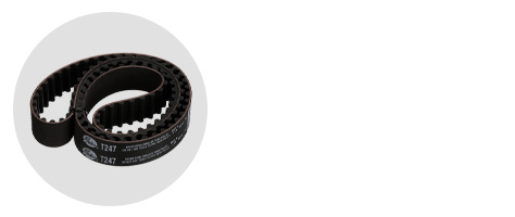 Timing Belts