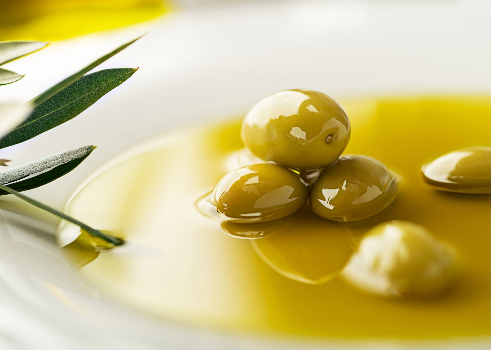 We Olive brings you EVOO from California producers directly to your table