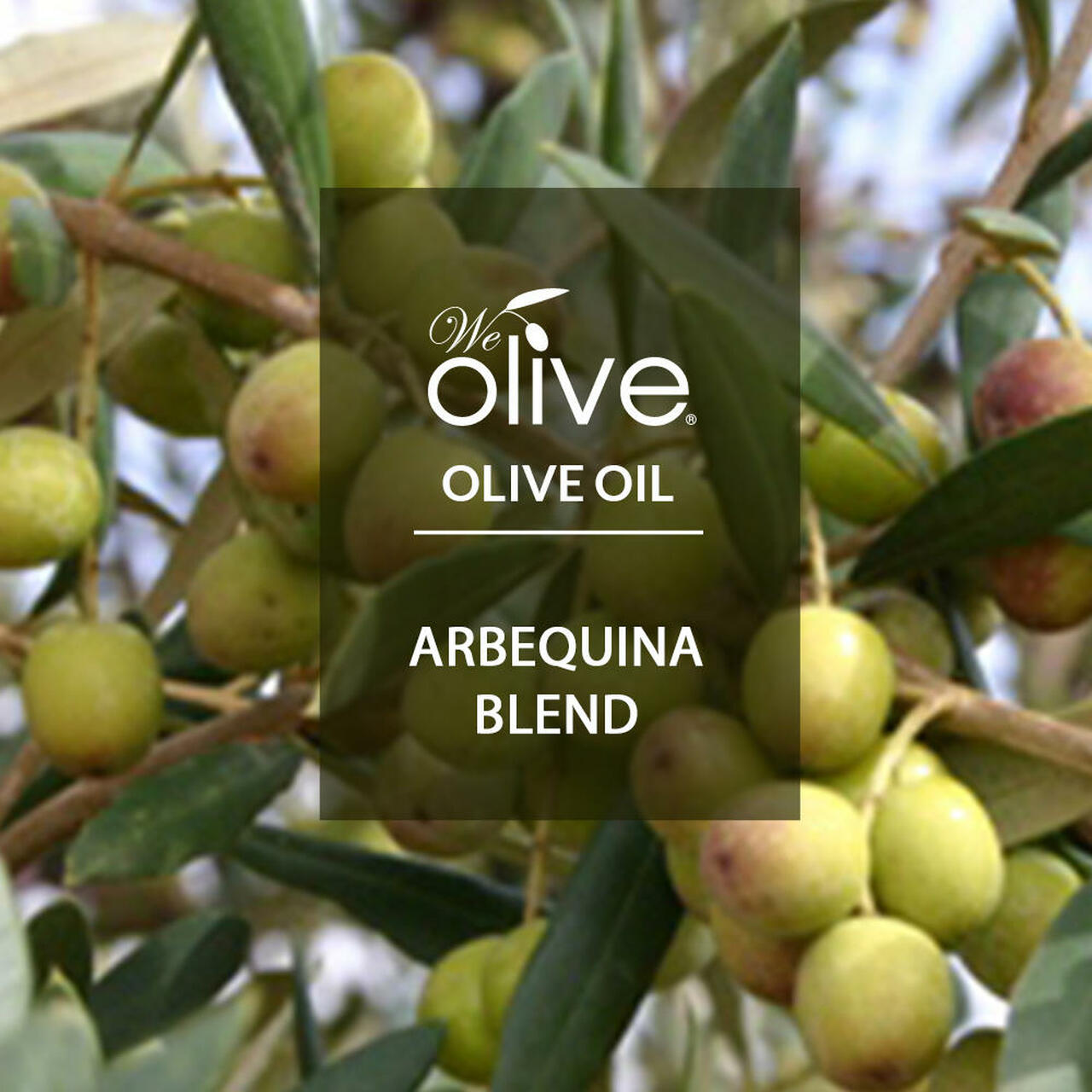 arbequina olive oil