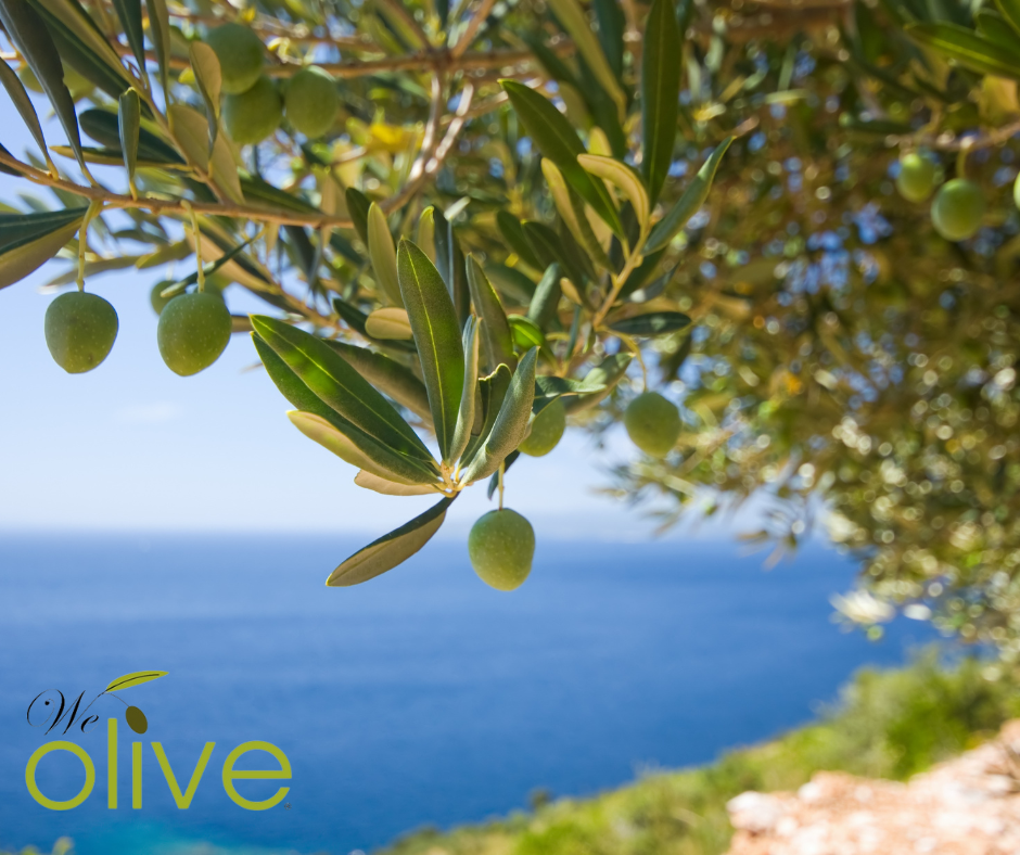 WARISAN Olive main image 0