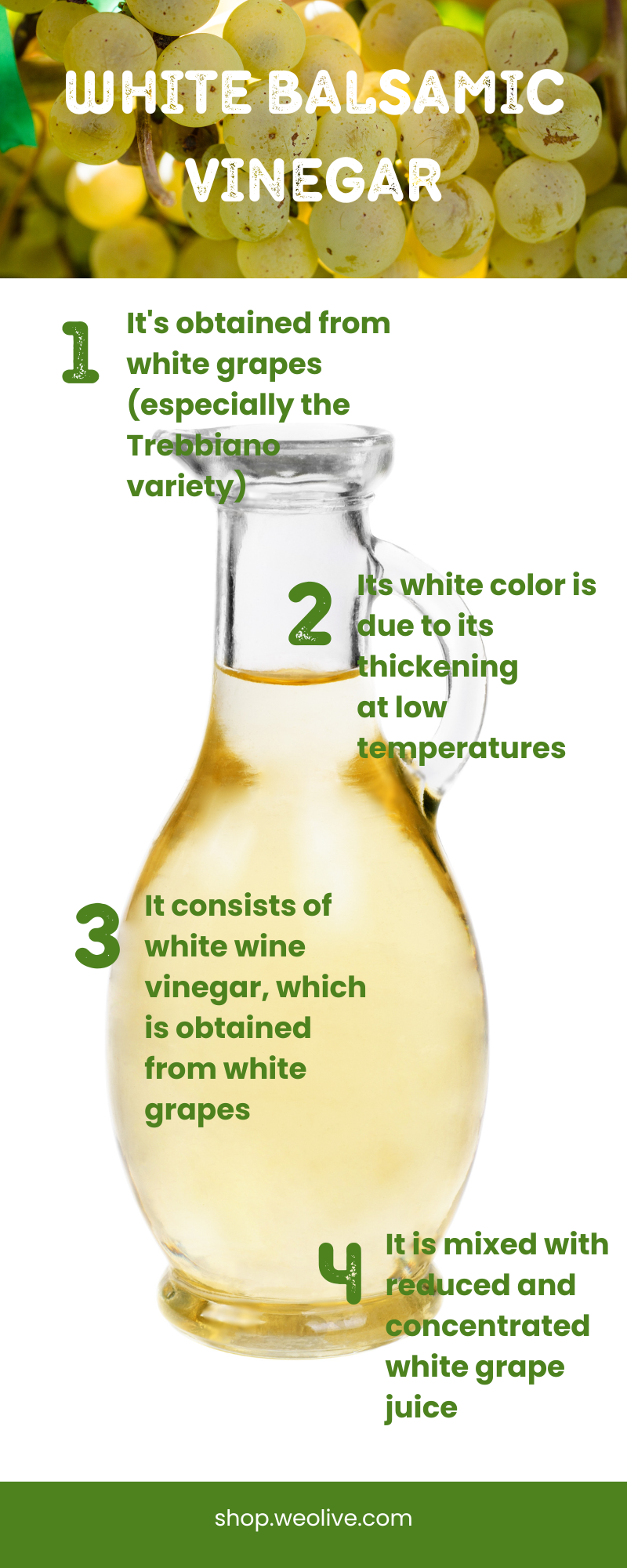 White balsamic vinegar infographic