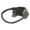 Ignition Coil 440-101