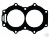 Head Gasket 18-2954