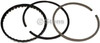 Piston Rings +.010   500-827