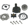 Water Pump Kit With Housing 18-3383