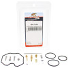 Carburetor Rebuild Kit  26-1334