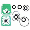 Lower Unit Seal Kit 18-8366