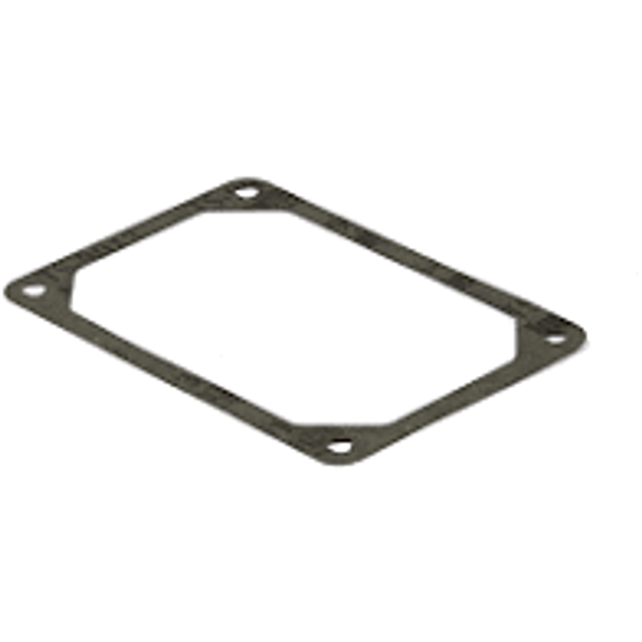 GASKET-ROCKER COVER 690971