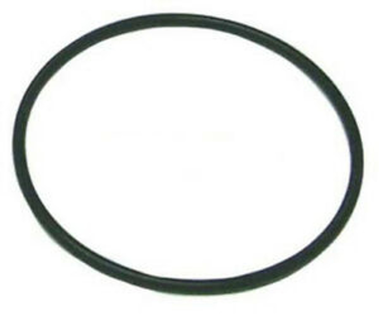 O-Ring 18-7169