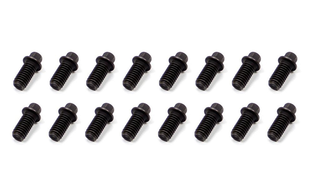 Schoenfeld Header Bolt 3/8-16x3/4in 5/16 Head  16pk SCH3006-16