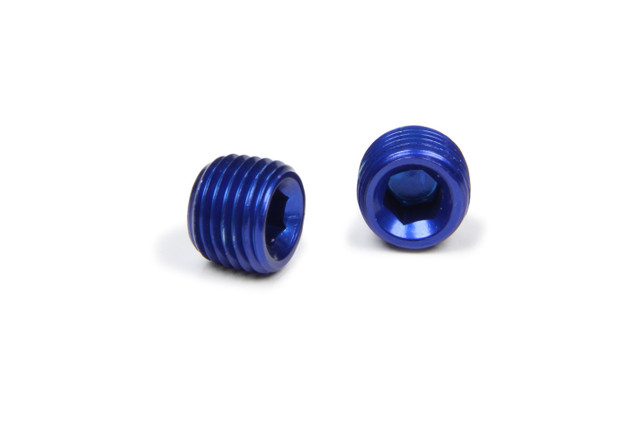 Xrp-xtreme Racing Prod. 1/4in Allen Head Pipe Plug (2pk) XRP993203