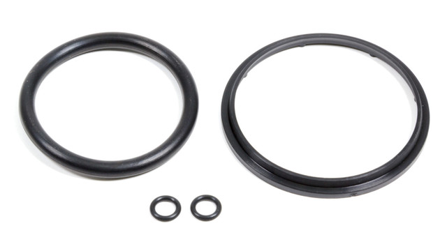 Quarter Master Seal Kit for Tri-Lite Bearings QTR730101