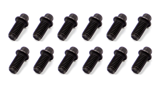 Schoenfeld Header Bolt 3/8-16x3/4in 5/16 Head  12pk SCH3006-12