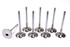 Ferrea SBC C/P HS 2.055 Intake Valves FERF1067P-8