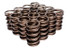 Comp Cams 1.442 Dual Valve Springs .770 ID w/Damper (COM26987-16)