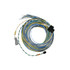 Fueltech Usa FT550 B Harness 10ft (FTH2001005571)