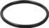 Allstar Performance O-Ring For Billet Water Neck All99353