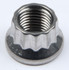 Arp S/S 12Pt. Nut - 3/8-24 (1) 400-8302