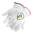 Alpha Gloves Glove Renegade A6 X-Lrg  Ag44-09-Xl