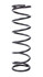 Afco Racing Products Conv Rear Spring 5in x 13in x 325# AFC25325-1B