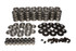 Comp Cams Gm Ls Series Dual Valve Spring Kit 26926Ts-Kit Comp Cams Gm Ls Series Dual Valve Spring Kit 26926Ts-Kit