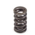 Crower 1.300 Dual Valve Springs Gm Ls1 68157-16