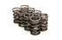 Crower Valve Springs - Dual  68324-8