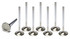 Ferrea BBF C/P 1.770 Exhaust Valves FERF1439P-8 Ferrea BBF C/P 1.770 Exhaust Valves FERF1439P-8